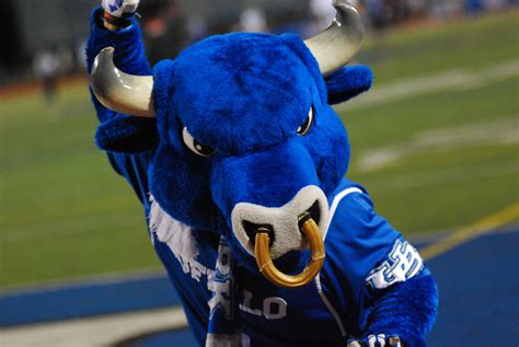 The UC Buffalo Mascot: Bringing the Roar to Sporting Events